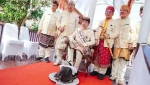 Respons PDIP soal Ritual Jokowi Injak Kepala Kerbau di Lampung