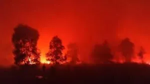 Taman Nasional Way Kambas Terbakar, Pemadaman Tetap Berlangsung