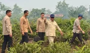 Tangani Karhutla Kalimantan, Prabowo Tambah Helikopter dan Personel