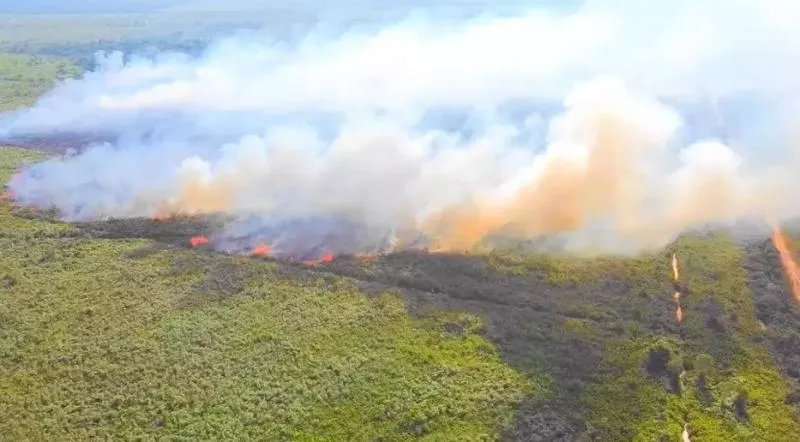 Situasi kebakaran hutan dan lahan (Karhutla) di Kalimantan Barat. (Beritasatu)