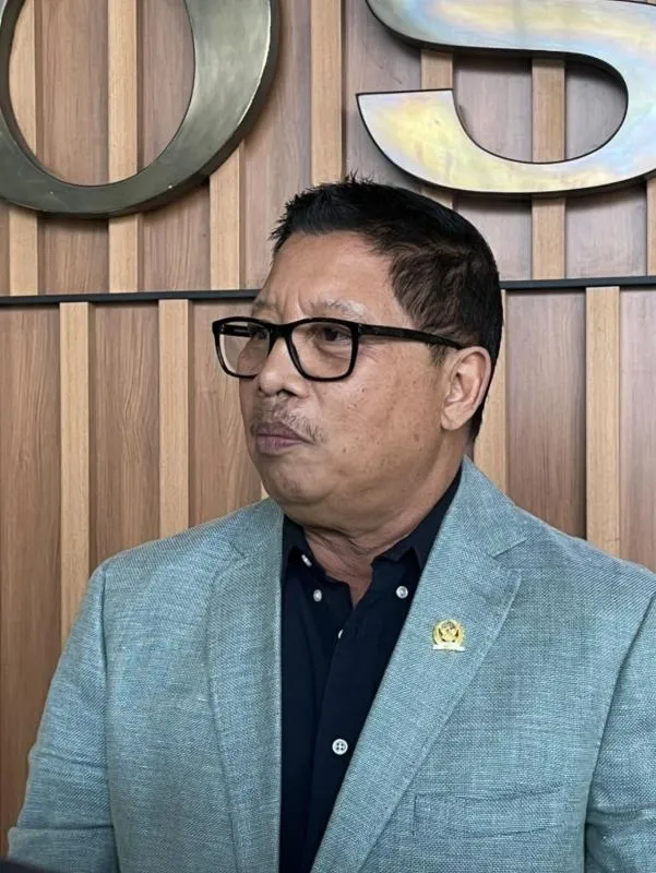 Anggota Komisi VI DPR RI Fraksi Partai Nasdem Nengah Senantara (Istimewa)