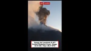 Gunung Api Lewolotok Di NTT Kembali Mengalami Erupsi