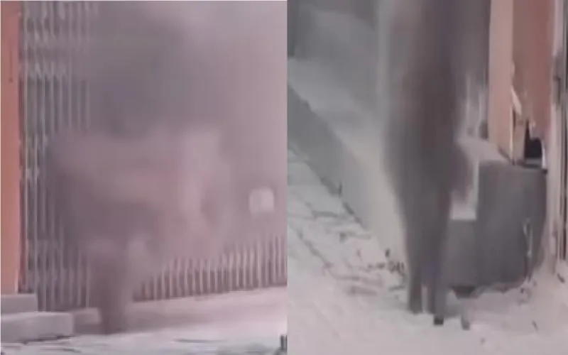 Viral Asap Pekat dari Dalam Tanah di Pasar Baru. (Istimewa).