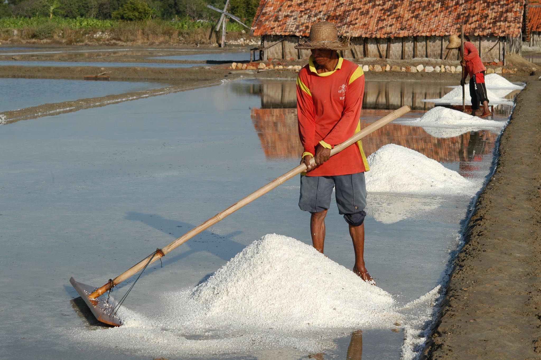 Industri garam dalam negeri (foto: nawacita)