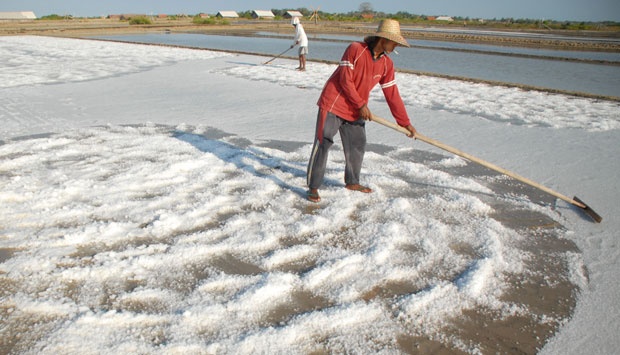 Petambak garam meminta agar impor garam hanya untuk memenuhi industri tertentu (foto: garampedia)