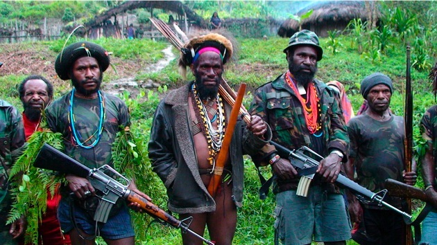 Kelompok pasukan bersenjata Organisasi Papua Merdeka (ist)