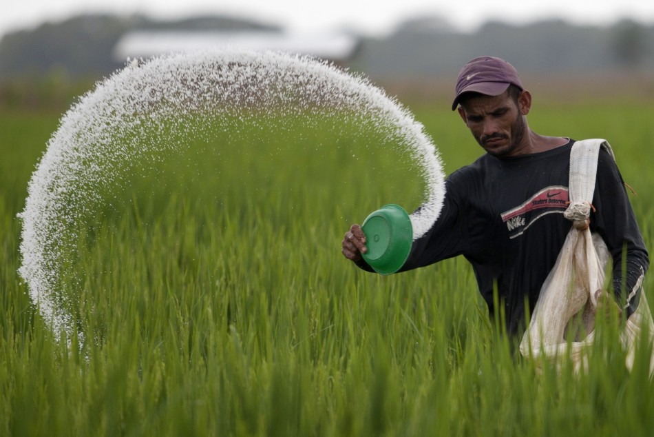 KPPU Indikasikan Ada Permainan Harga Pupuk dan Pestisida ( foto:  istimewa)