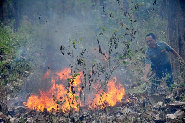 Ilustrasi kebakaran hutan (foto: sidomi.com)