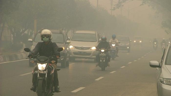 Bencana Kabut Asap, Landa Banjarmasin ( foto: tribunnews.com)