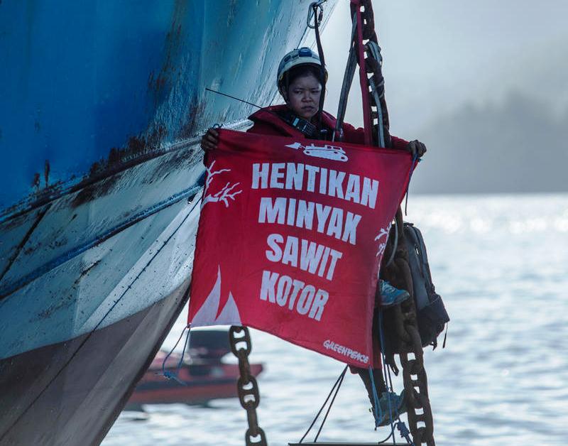 12 Aktivis Greenpeace dan Musisi Boomerang Diamankan Polres Bitung (foto: bergelora.com)