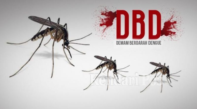 Ilustrasi penyakit DBD yang melankendaripos.co.id)