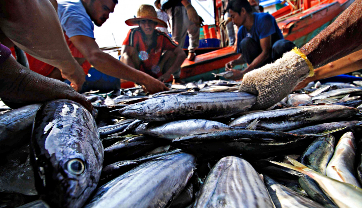 Izin pengolahan ikan makin mudah dan terintegrasi (Foto: warta ekonomi)