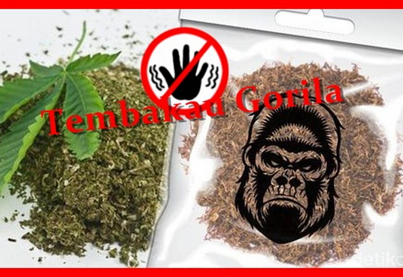 Narkoba jenis tembakau Gorila (Foto: Kabar.news)